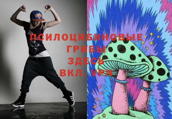 круглые Алексеевка