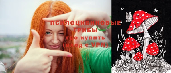 МДПВ Алексин