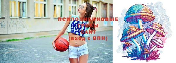 круглые Алексеевка