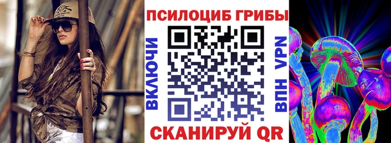 omg как зайти  Пошехонье  Псилоцибиновые грибы MAGIC MUSHROOMS  наркошоп 
